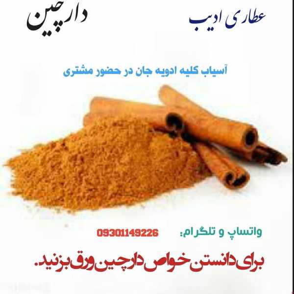 دارچین هندی