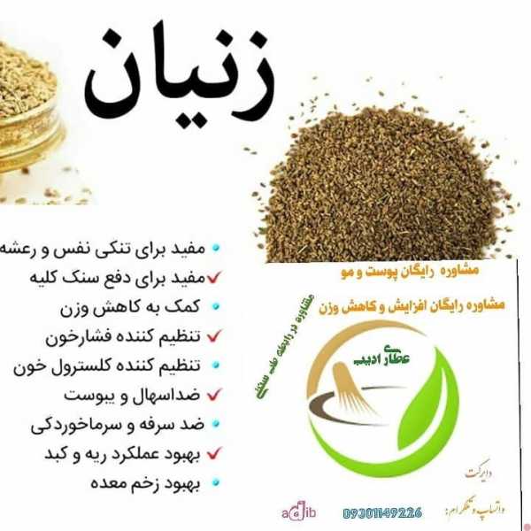 زنیان(خردی دانه)