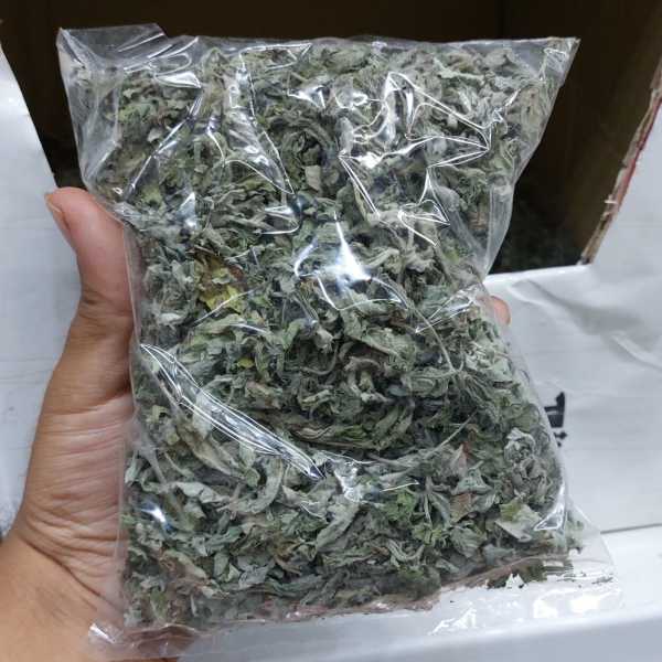 پونه کوهی