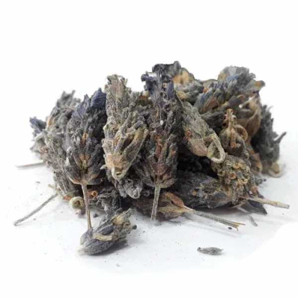اسطوخودوس عالی