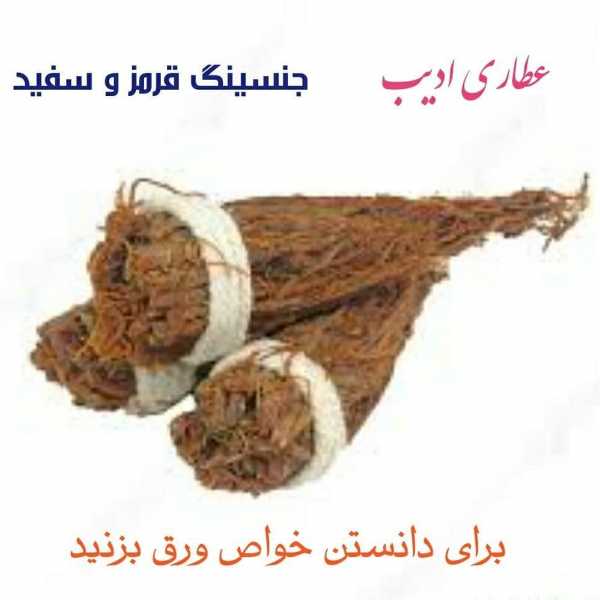 جنسیگ قرمز اصل