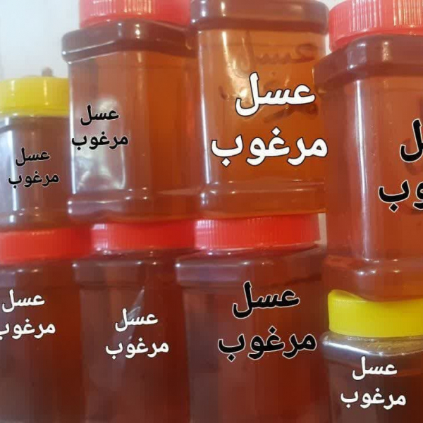 عسل کنار مرغوب