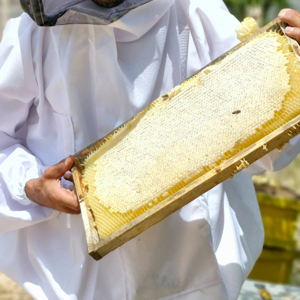 عسل کتیرا کیسما